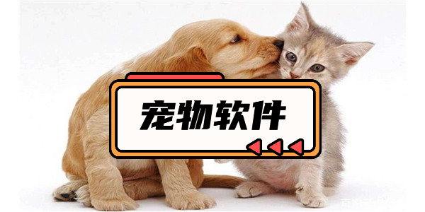 宠物app