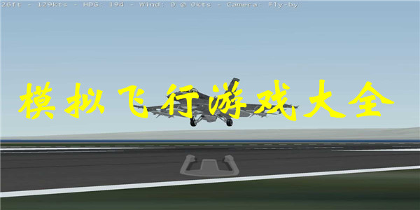 模拟飞行