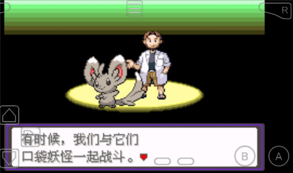 口袋妖怪漆黑的魅影截图